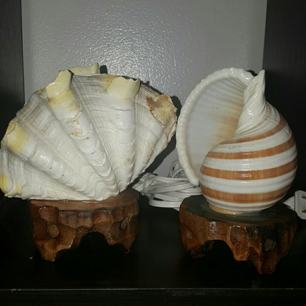 Two beautiful (real) seashell lamps